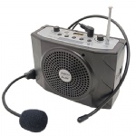 Voice Amplifier
