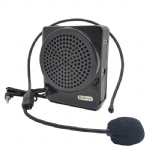Voice Amplifier
